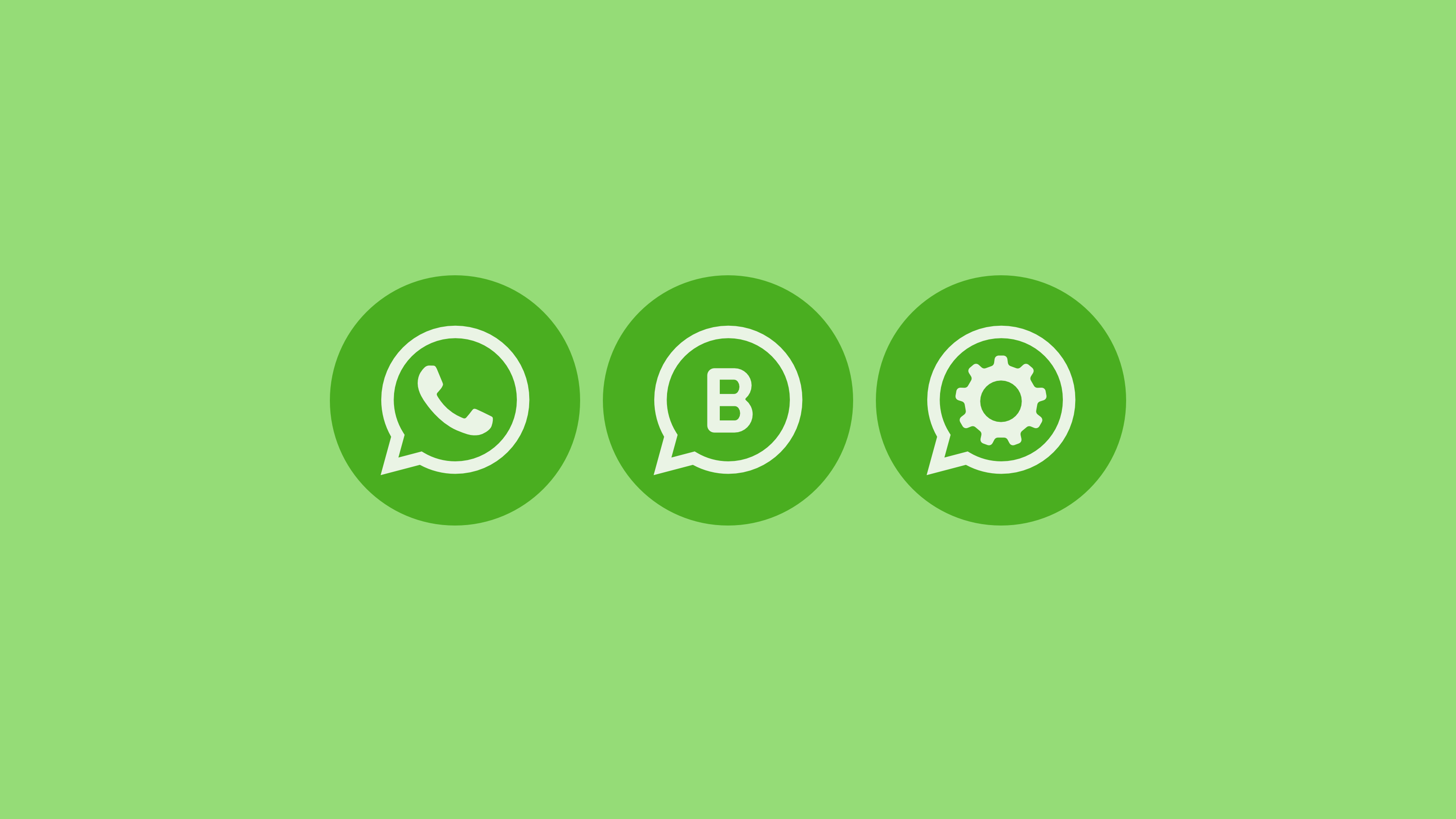 WhatsApp Business et l'API WhatsApp Business : Que choisir pour votre  entreprise ? - YoomWeb